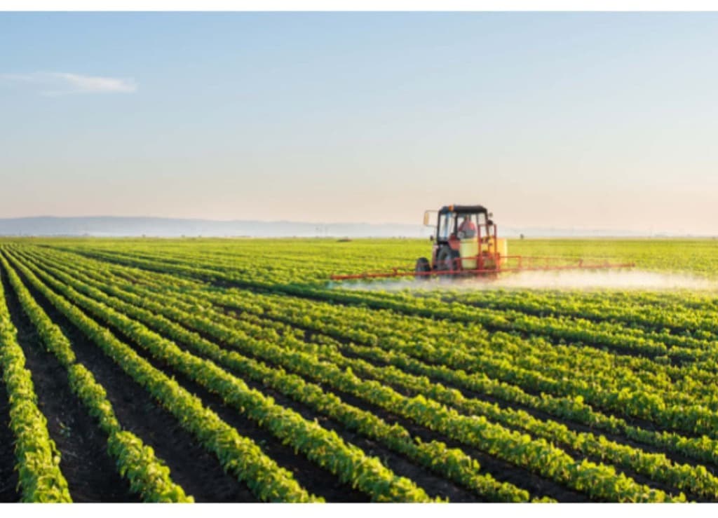 Commercial Agriculture & Agribusiness